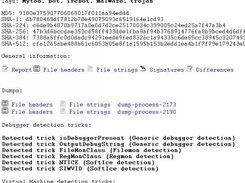 Sample analysis result page