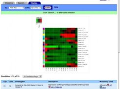 Screenshot of the data plotting window of ZF-Espresso 0.6