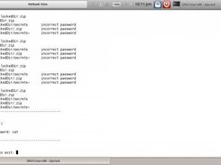The results after finding the password