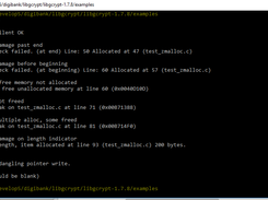 Test Client Screen Shot