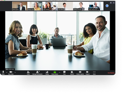 Zoom Video Webinars Screenshot 1