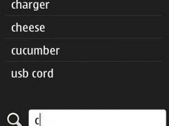 Item is being added from earlier & predefined items list.