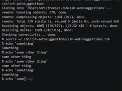 zsh-autosuggestions Screenshot 1