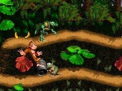 Donkey Kong Country