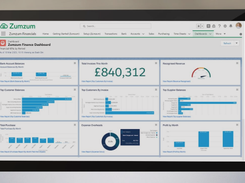 Zumzum Financials Screenshot 1