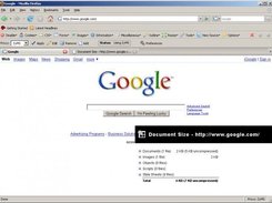 Google Homepage with ZyMS