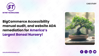thumbnail-bigcommerce-accessibility-manual-audit-for-wcag-2-2-4.png