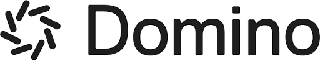 Domino Data Labs