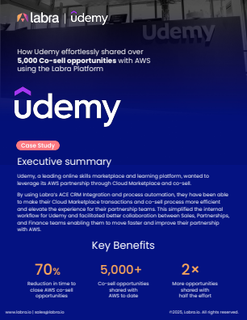 thumbnail-Udemy-Case-Study.png