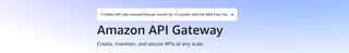 Amazon API Gateway cover image