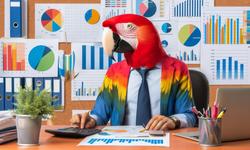 image of interactive demo by Macaw AMS