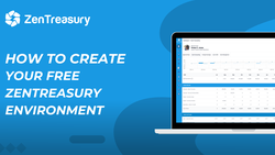 image of interactive demo by ZenTreasury