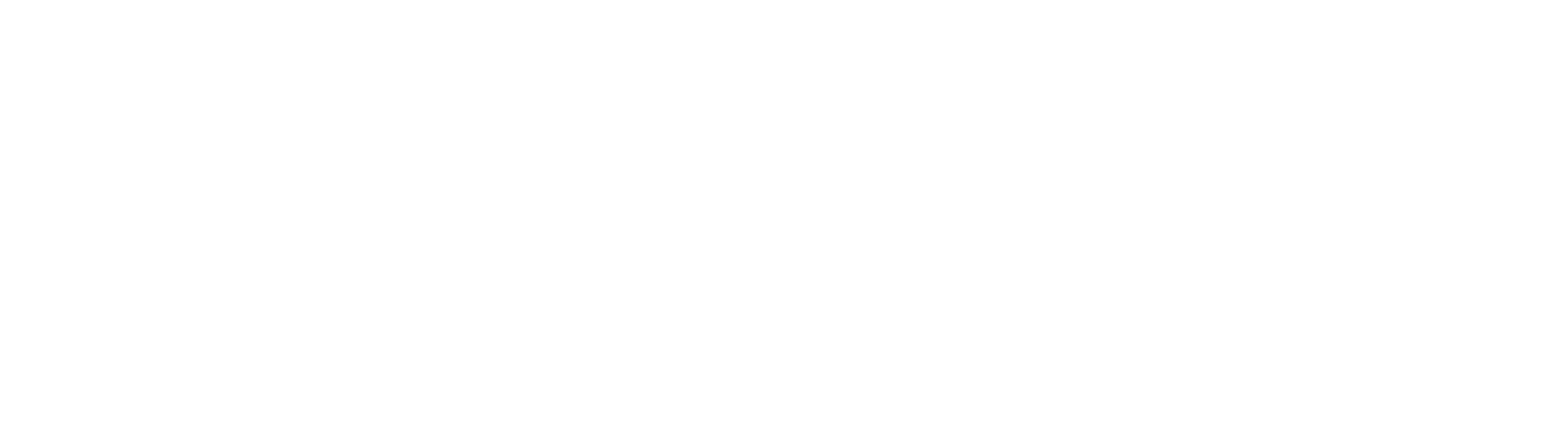 Bolt Logo