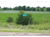 Screenshot-sm