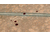 Screenshot-sm