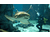 Screenshot-sm